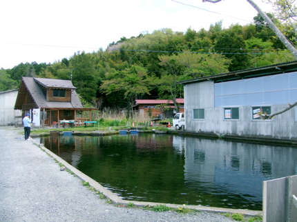 1号池.jpg