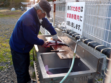 トラウト チアイ抜き.jpg