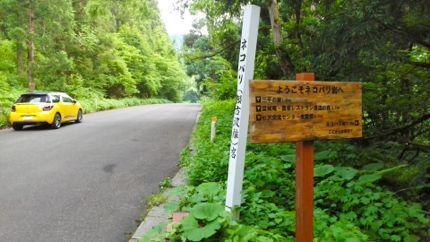 ネコバリ岩へ.jpg