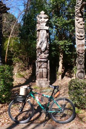 流山運動公園 Muddy Fox.jpg
