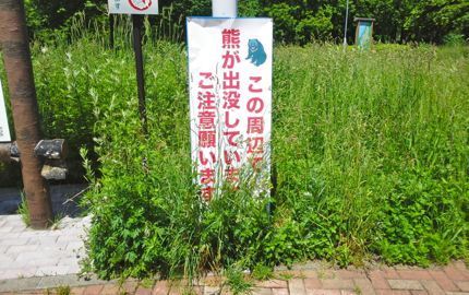 熊注意.jpg