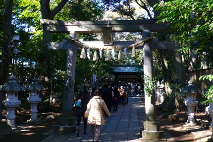 諏訪神社 鳥居.jpg