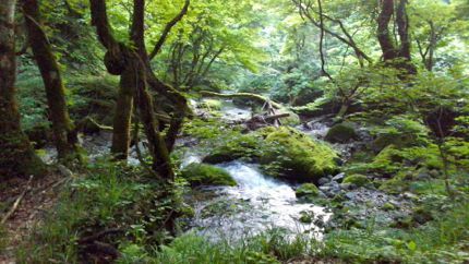 馬場目川.jpg