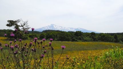鳥海山.jpg