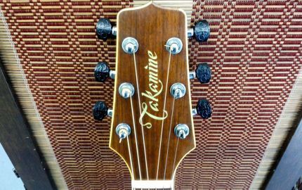 takamine.jpg